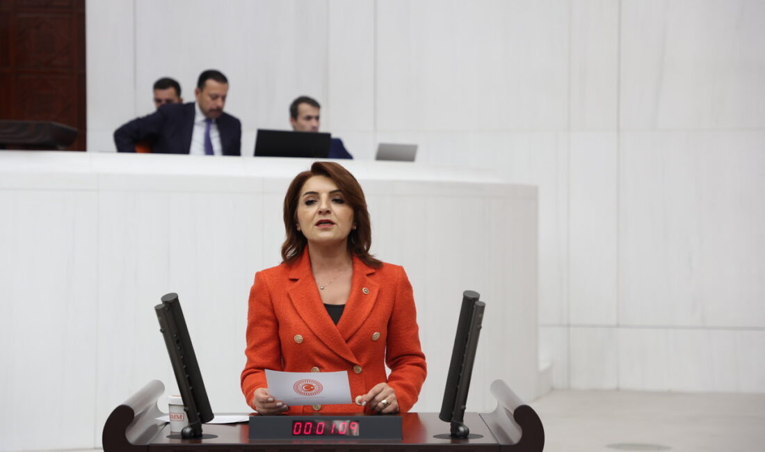 CHP Mersin Milletvekili Gülcan Kış, Hazinenin borç stokundaki hızlı artışın ve