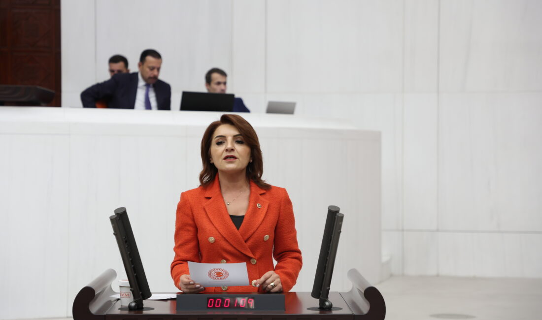 CHP Mersin Milletvekili Gülcan Kış, açıklanan enflasyon verileri, maaş artışları