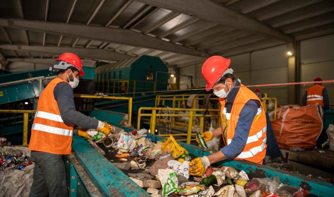 Mersin Büyükşehir Belediyesi Çevre Koruma ve Kontrol Dairesi Başkanlığı, 2025