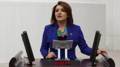 CHP Mersin Milletvekili Gülcan Kış, Cumhurbaşkanı Recep Tayyip Erdoğan tarafından