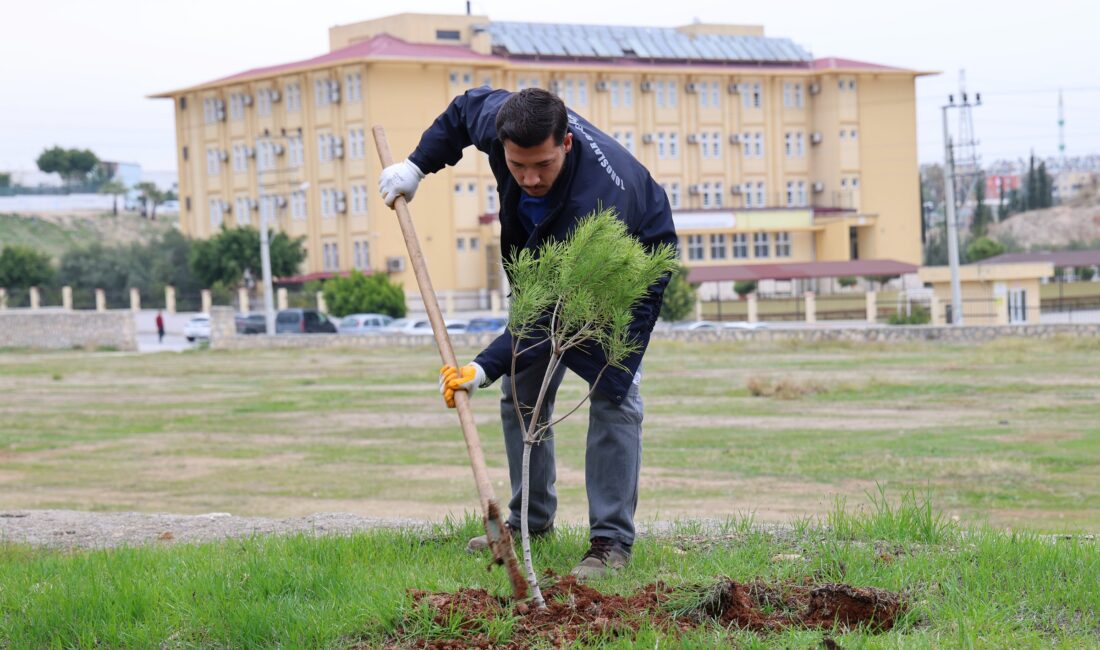 Toroslar Belediyesi, ilçenin dört bir yanında yeşil alanları korumak ve