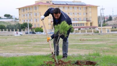 Toroslar Belediyesi, ilçenin dört bir yanında yeşil alanları korumak ve