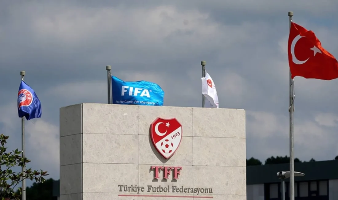 Türkiye Futbol Federasyonu (TFF), Süper Lig harici profesyonel liglerde son
