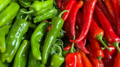 2025 yılında Avrupa Birliği’ne ihraç edilen gıdalarda pestisit kalıntıları nedeniyle