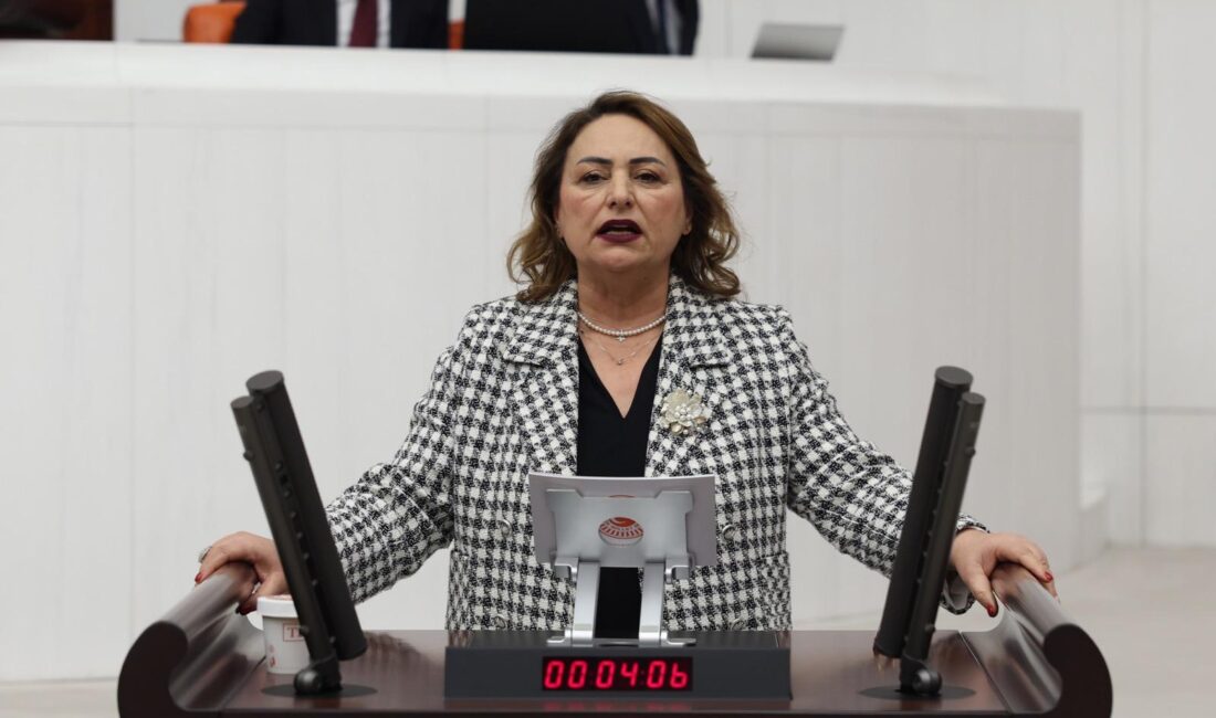  CHP Adana Milletvekili ve TBMM Başkanlık Divanı Üyesi Dr. Müzeyyen