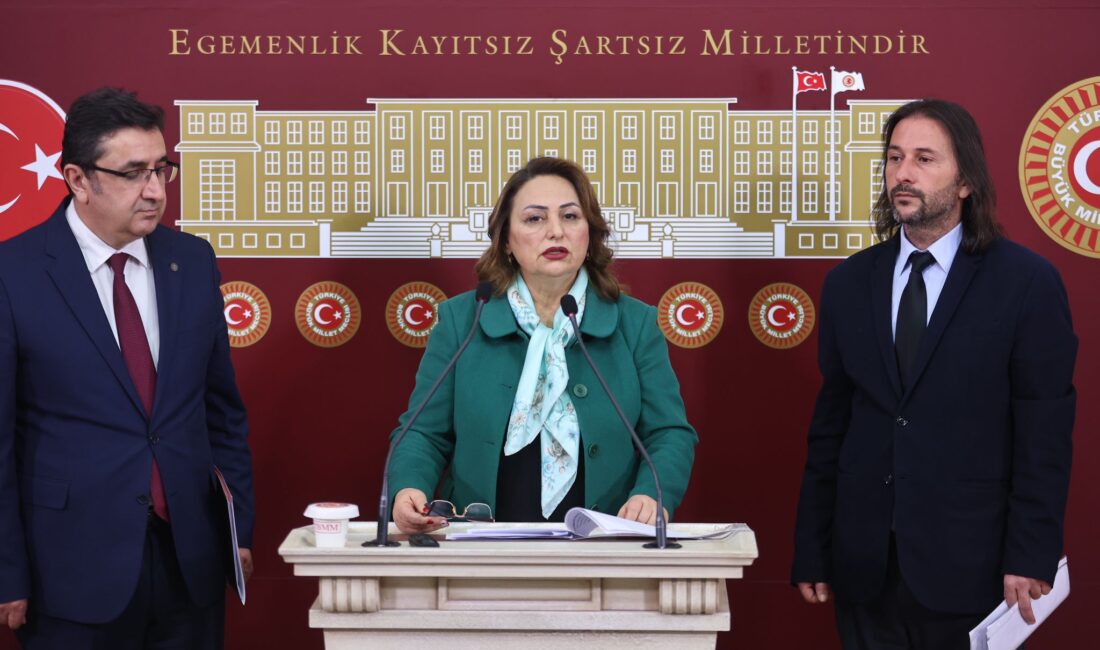 CHP Adana Milletvekili, TBMM Başkanlık Divanı Üyesi ve Jeoloji Yüksek