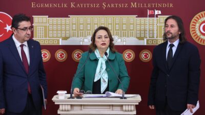 CHP Adana Milletvekili, TBMM Başkanlık Divanı Üyesi ve Jeoloji Yüksek