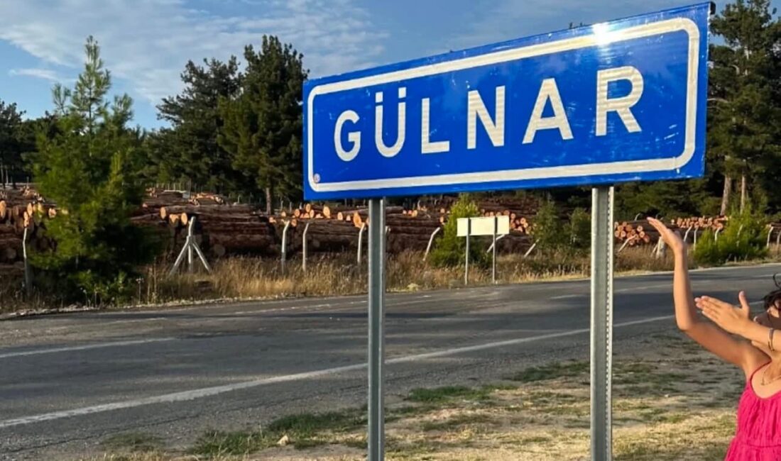 TÜİK’in Adrese Dayalı Nüfus Kayıt Sistemi 2025 sonuçları ışığında Mersin