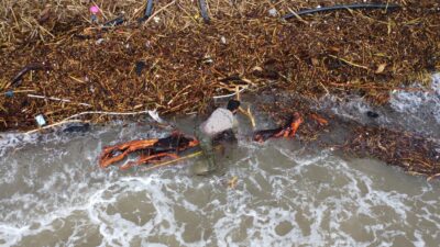 Mersin‘de yaşanan sel felaketi nedeniyle 30 milyon liraya kadar satılan