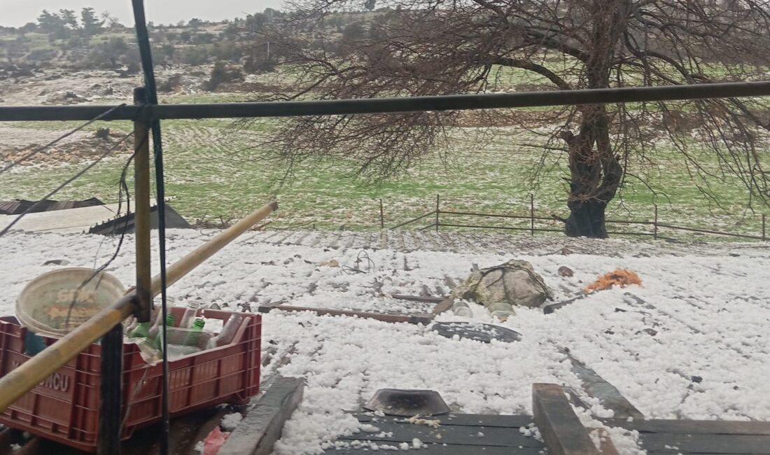 Mersin’in Tarsus ilçesinde kırsal mahallelerde etkili olan dolu yağışı, ekili