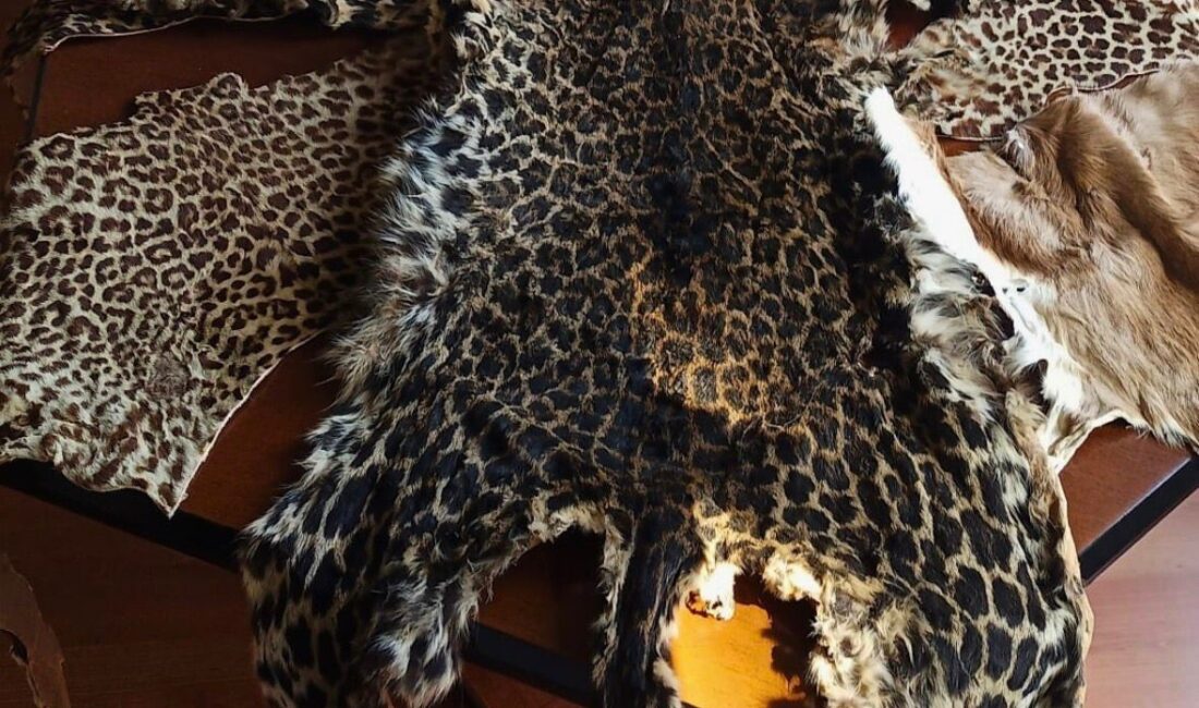 Doğa Koruma ve Milli Parklar Genel Müdürlüğü, Lübnan’dan Çukurova Uluslararası