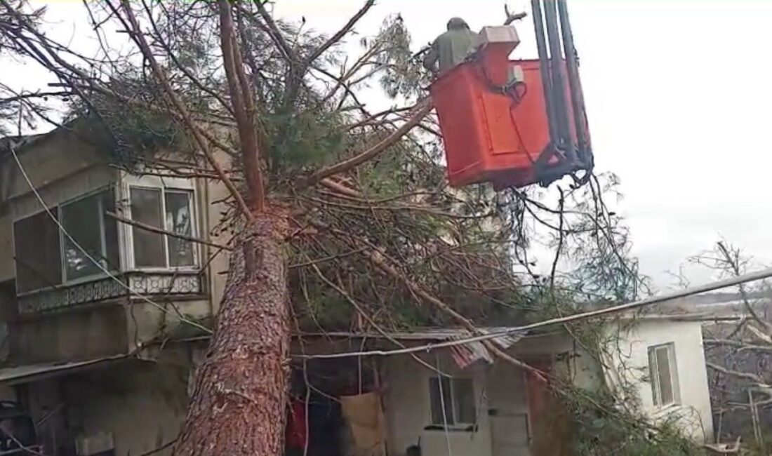 Mersin’de fırtına etkili oluyor: Ağaç evin üzerine devrildi Mersin‘in Erdemli ilçesinde etkili olan fırtınada bir ağaç müstakil evin