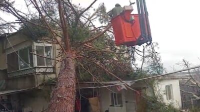 Mersin‘in Erdemli ilçesinde etkili olan fırtınada bir ağaç müstakil evin