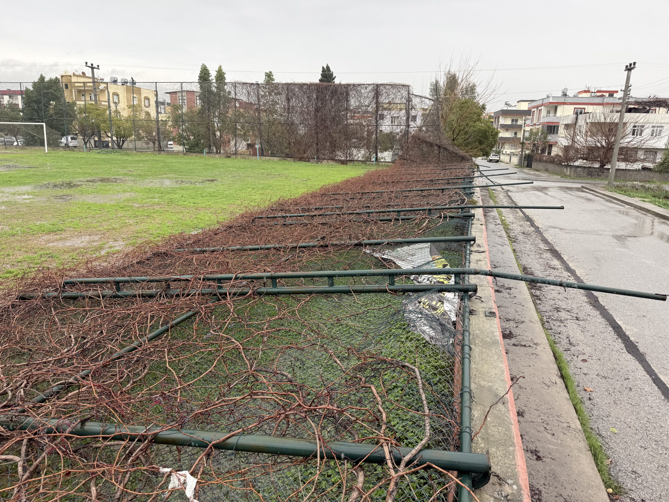 Tarsus’ta yağmur ve fırtına etkili oldu, seralar zarar gördü