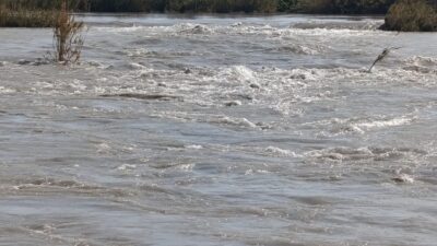 Son günlerde etkili olan şiddetli yağışların ardından baraj kapaklarının açılmasıyla