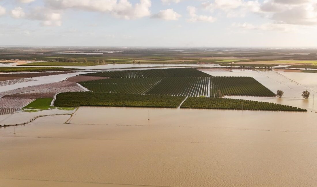 Tarsus Belediyesi sel ve fırtına sonrası zarar tespiti için sahada Tarsus’ta sel ve fırtınadan etkilenen mahallelerde hasar tespit çalışmaları başlatıldı.