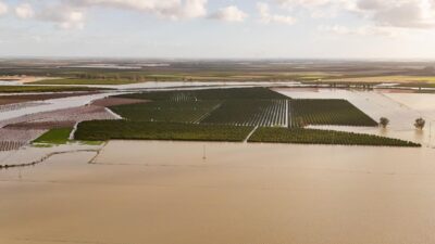Tarsus’ta sel ve fırtınadan etkilenen mahallelerde hasar tespit çalışmaları başlatıldı.