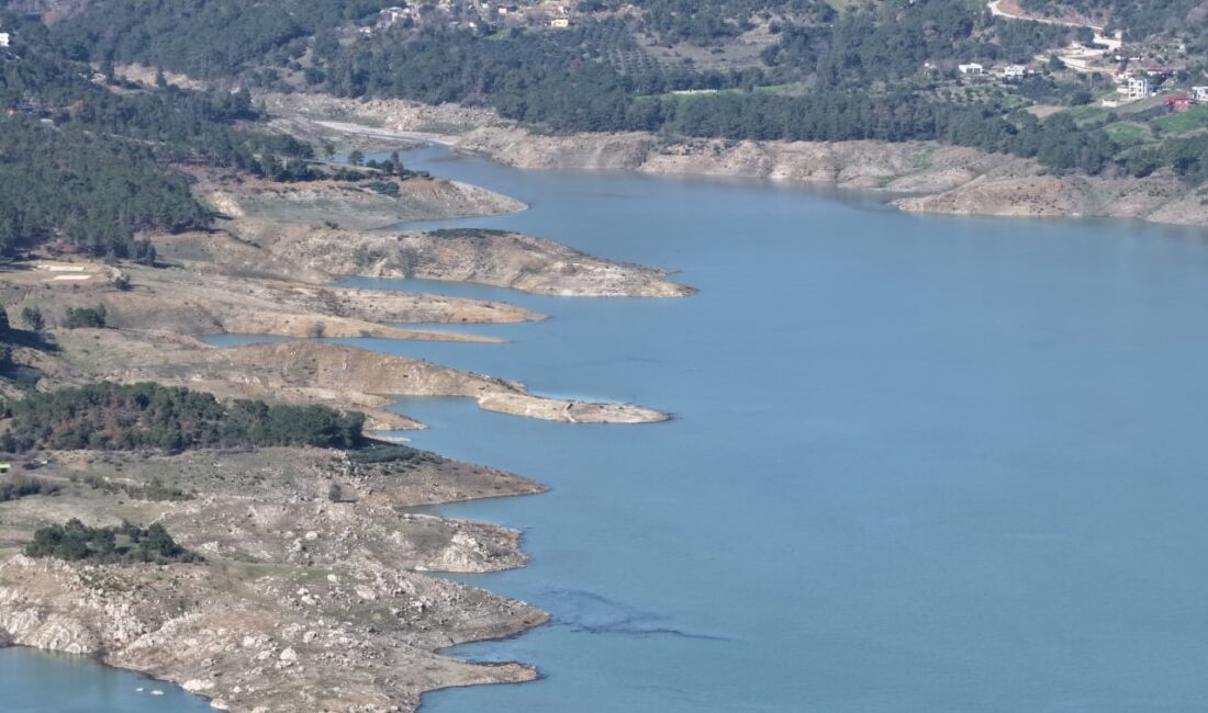 Adana ve Mersin’de selden etkilenen üreticilerin zararları karşılanacak Adana’da son yağışların ardından yaşanan sel ve tarım alanlarında meydana