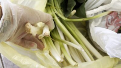 Mersin‘de pazardan iddiaya göre pazı diye aldığı ürün zehirli tirşik