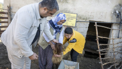 Mersin Büyükşehir Belediyesi; kırsal kalkınmanın artması adına Türkiye’ye örnek olan