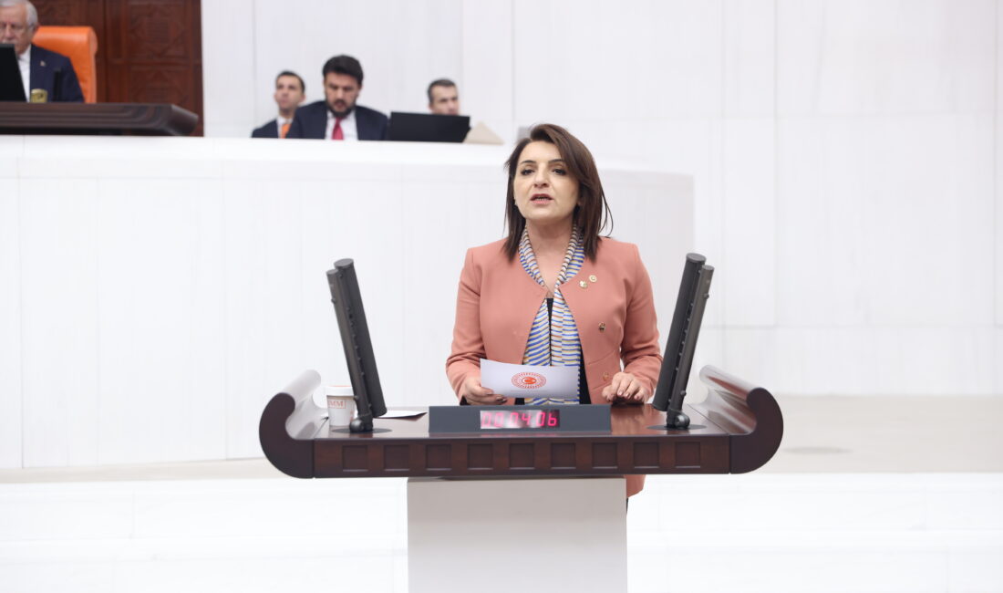 CHP’li Gülcan Kış: “Milli Parklar Kanunu, AKP’nin 24 yıllık son satış kataloğudur” CHP Mersin Milletvekili Gülcan Kış, Türkiye Büyük Millet Meclisi Genel Kurulu’nda