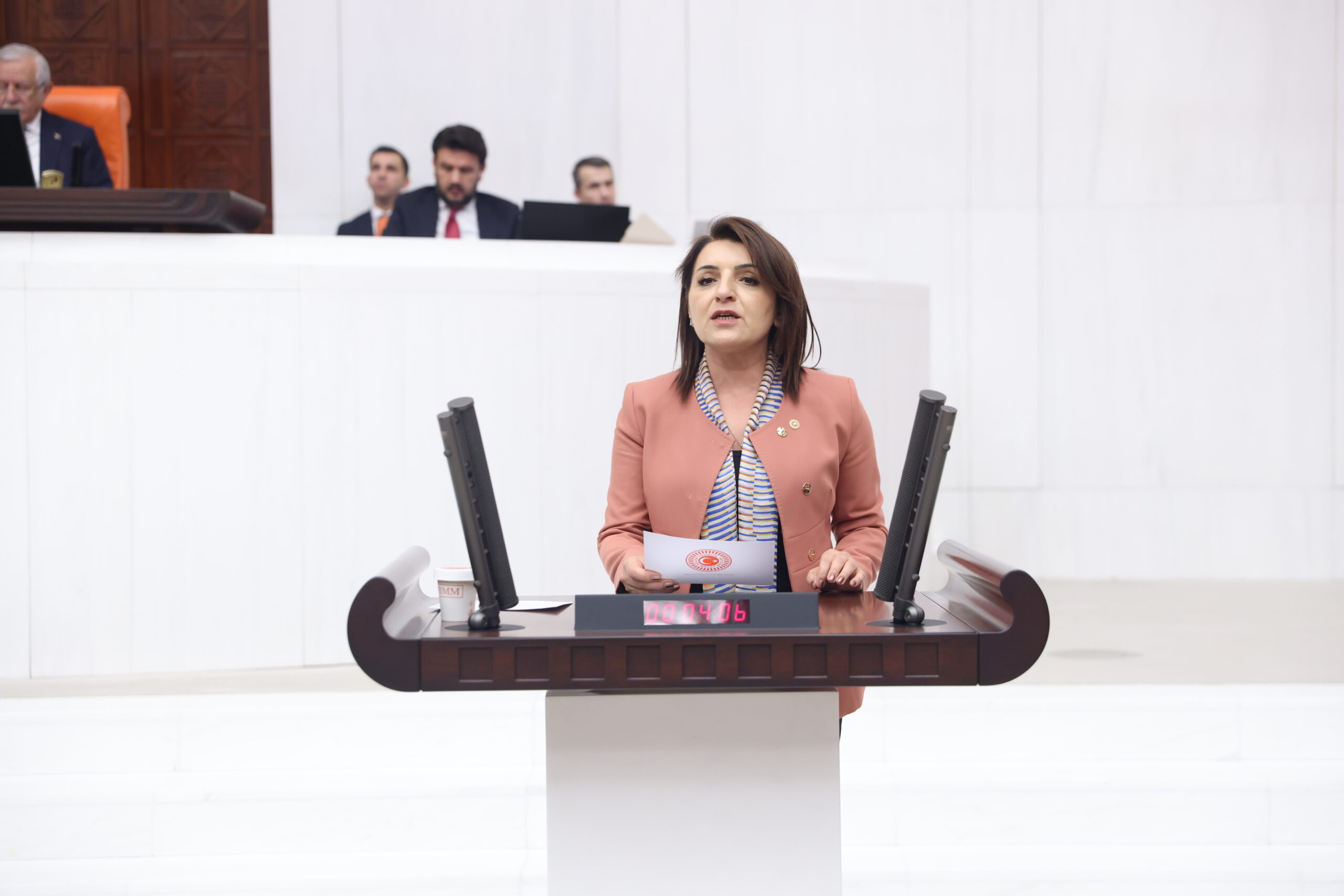 CHP’li Gülcan Kış: “Milli Parklar Kanunu, AKP’nin 24 yıllık son satış kataloğudur”