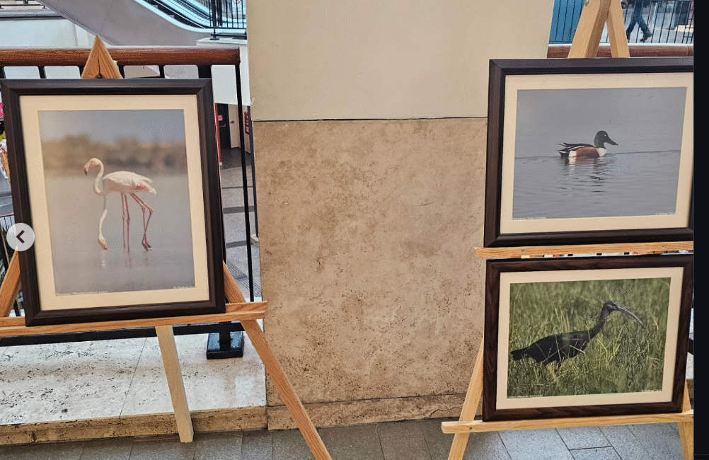 Mersin Doğa Koruma ve Millî Parklar Müdürlüğü, ‘Dünya Sulak Alanlar