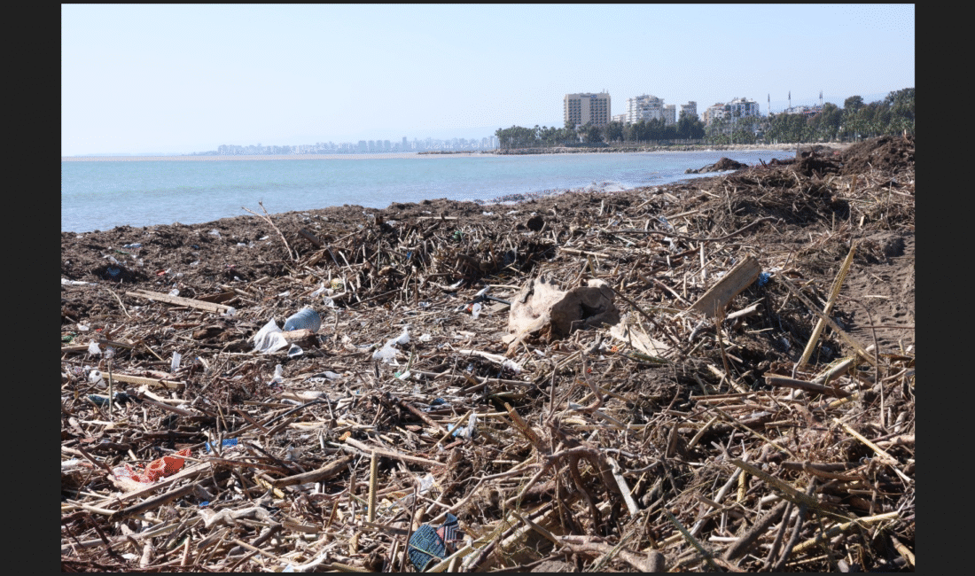 MERSİN MİLLET BAHÇESİ SAHİLİ BALÇIKTAN TEMİZLENİYOR Geçtiğimiz günlerde Mersin’de etkili olan şiddetli yağış ve fırtına, kent
