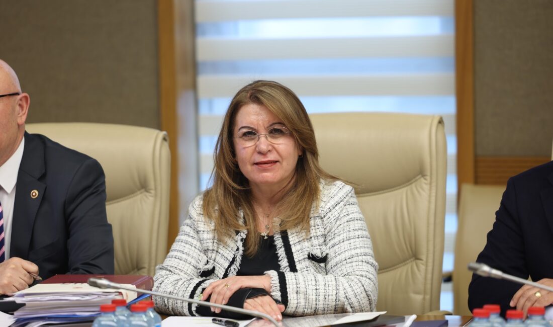 TBMM Dilekçe ve İnsan Hakları Komisyonlarından oluşan Karma Komisyonunda Kamu