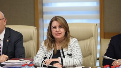 TBMM Dilekçe ve İnsan Hakları Komisyonlarından oluşan Karma Komisyonunda Kamu