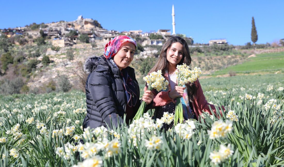 MERSİN BÜYÜKŞEHİR’İN NERGİS PROJESİ KIRSAL KALKINMAYA DESTEK OLUYOR Mersin Büyükşehir Belediyesi’nin kırsal kalkınmayı önceleyen örnek projeleri, üreticinin yüzünü