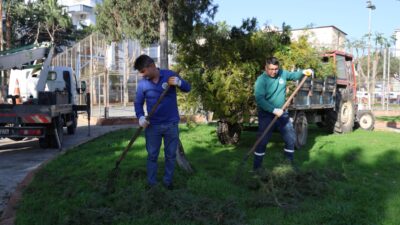Toroslar Belediyesi, ilçe genelinde ağaç budama çalışmalarına ağırlık vererek hem