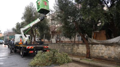 AĞAÇLAR DEVRİLDİ, ÇATILAR UÇTU: TOROSLAR BELEDİYESİ ANINDA SAHAYA İNDİ Mersin genelinde etkisini artıran kuvvetli fırtına ve sağanak yağış, günlük
