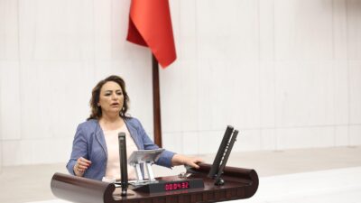 Cumhuriyet Halk Partisi (CHP) Adana Milletvekili, TBMM Başkanlık Divanı Üyesi