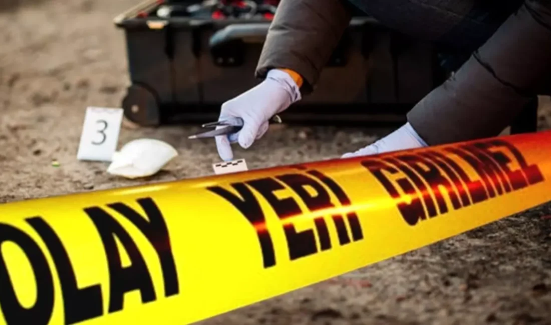 Mersin’in Tarsus ilçesinde eski eşini yolda gören bir kişi, kadının