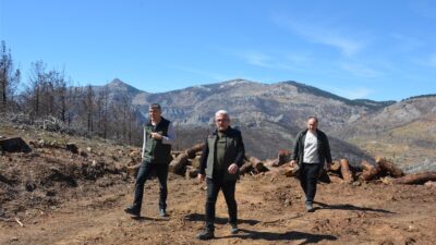 Mersin Orman Bölge Müdürlüğüne bağlı Silifke Orman İşletme Müdürlüğü sorumluluk