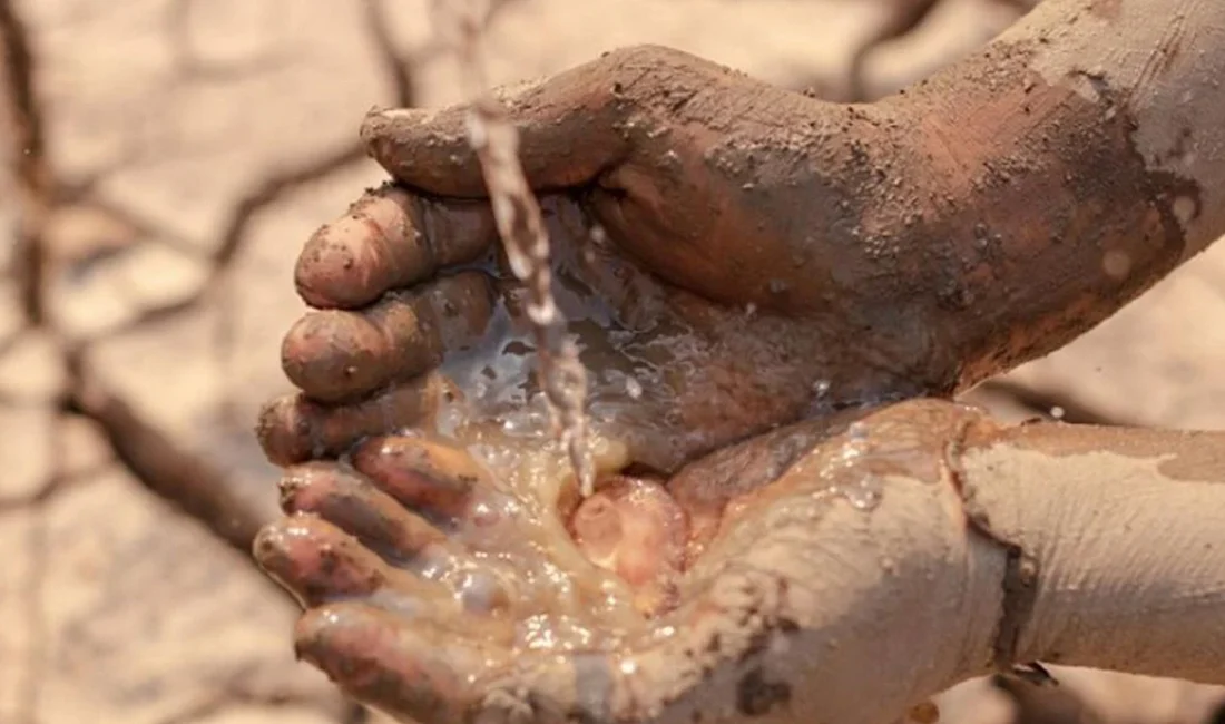 Doğu Akdeniz Çevre Dernekleri (DAÇE) ve Mersin Çevre Platformu Dünya Su