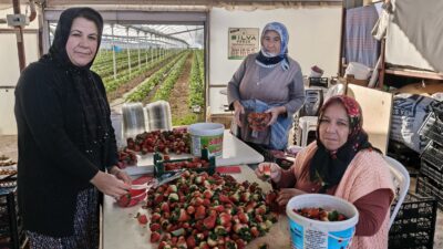 Mersin’in Silifke ilçesinde 8 Mart Dünya Kadınlar Günü’nde birçok kadın,