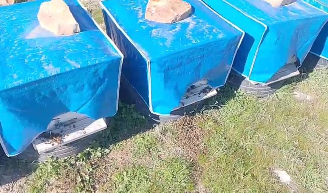 Mersin’in Mut ilçesinde gündüz saatlerinde yapılan zirai ilaçlama nedeniyle arıların