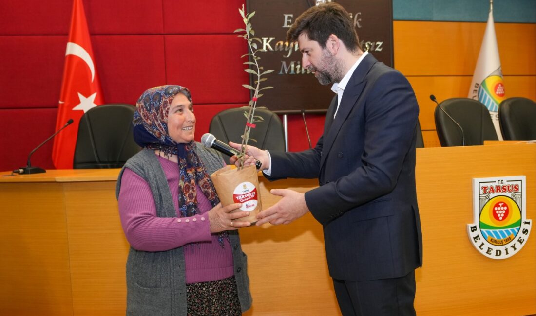 Mersin’in Tarsus ilçesinde, zeytinyağında kaliteyi artırmak ve yerel zeytin çeşitlerini