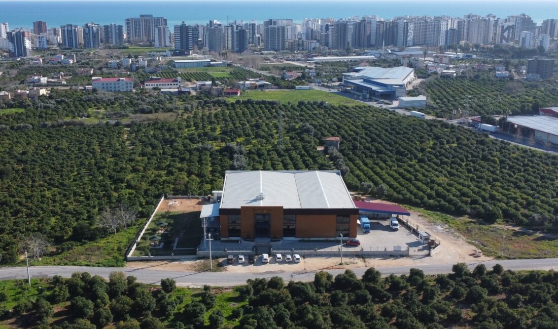 Mersin‘de yaylalarda doğal olarak üretilen bal, devlet desteğiyle kurulan ve