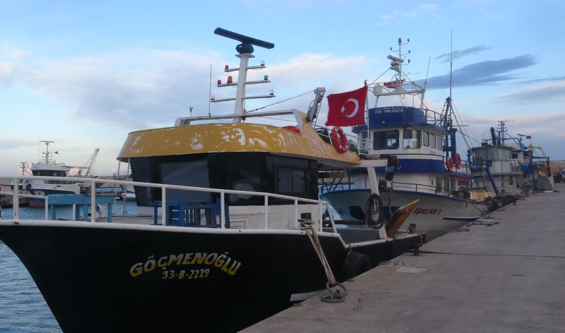 Akdeniz’e 321 kilometre kıyısı bulunan Mersin‘de balıkçılar, çetin geçen kış şartları