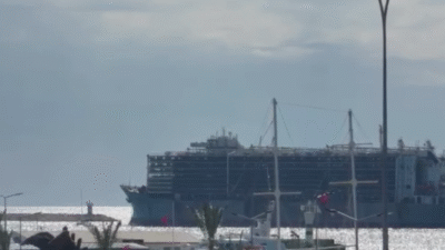 Taşucu Limanı’na angus yüklü bir gemi geldi Sabah saatlerinde limana