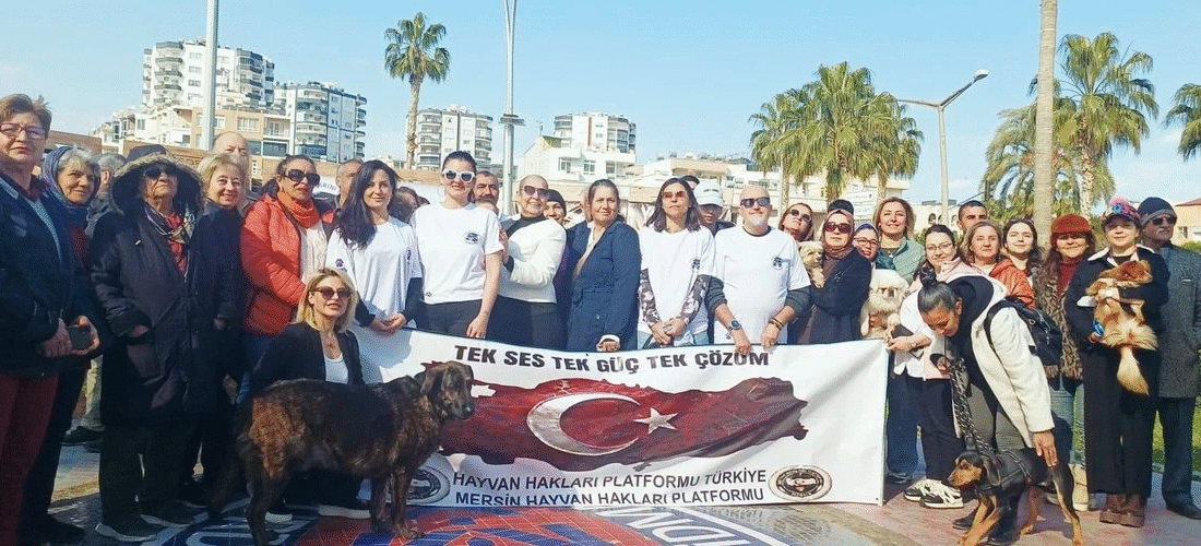 Mersin’de Türkiye Hayvan Hakları Platformu ve HAYHAKİZDER’ 10 ilde eş