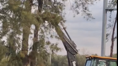 Erdemli’de eski hastane ile Alata Araştırma Enstitüsü arasındaki yıllardır kentin