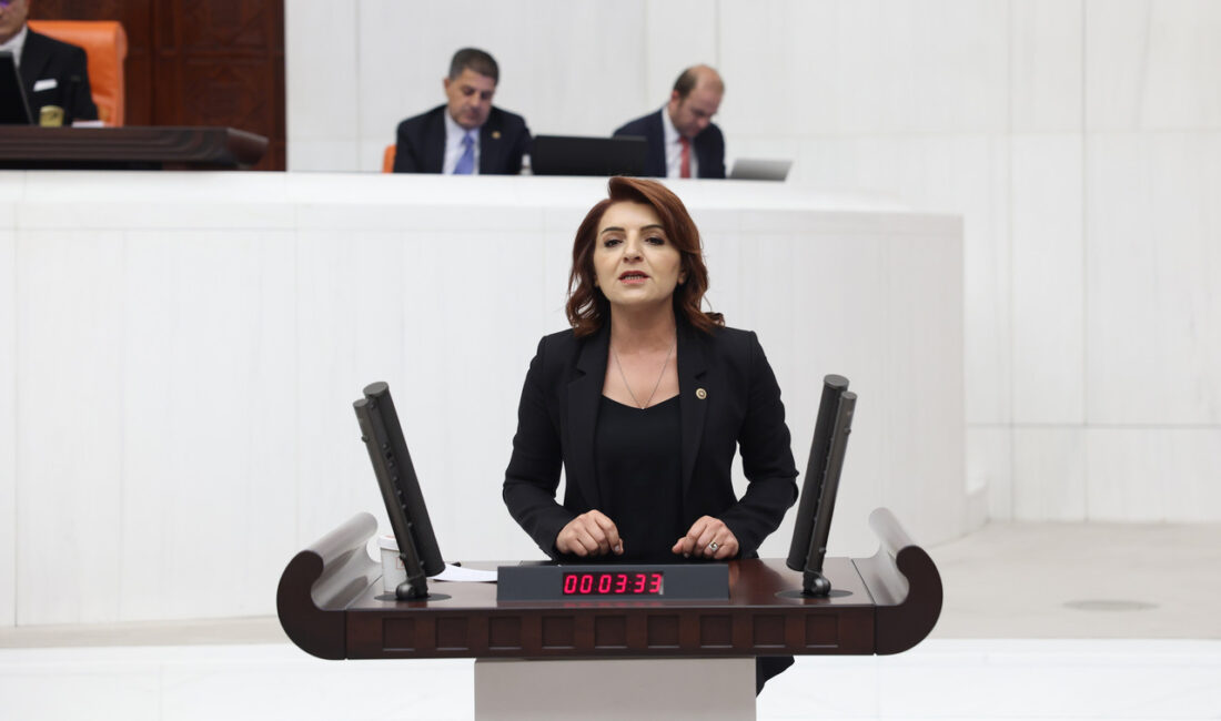 CHP Mersin Milletvekili Gülcan Kış’ın kamu-özel iş birliği projelerindeki garanti