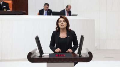 CHP Mersin Milletvekili Gülcan Kış’ın kamu-özel iş birliği projelerindeki garanti