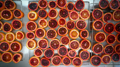 Üreticilere destekleri ve yerel kalkınmaya katkılarıyla kentin adından söz ettiren