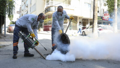 Mersin Büyükşehir Belediyesi Çevre Koruma ve Kontrol Dairesi Başkanlığı koordinesinde,