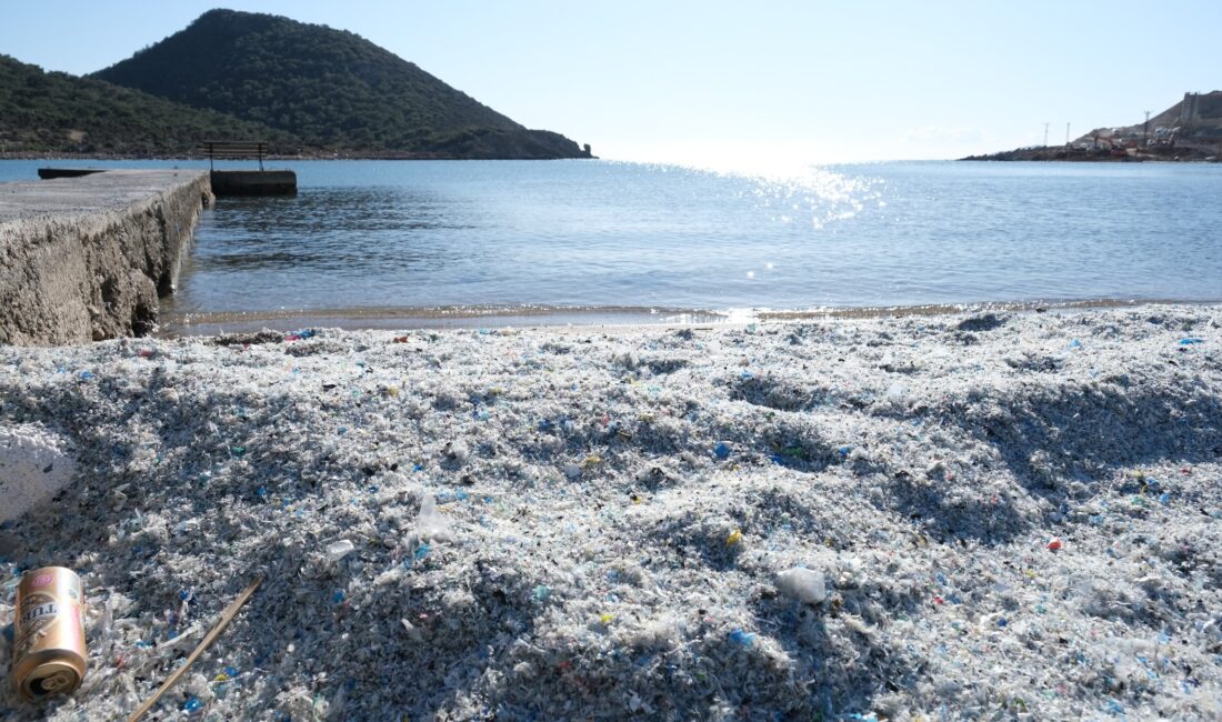 Mersin Çevre ve Doğa Derneği Başkanı Sabahat Aslan, Mersin kıyılarında giderek artan partikül plastik